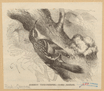 Image ID 820361