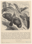 Image ID 820362