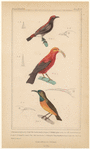 Image ID 820363