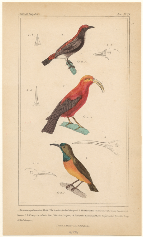 Image ID 820363
