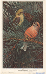 Image ID 820366