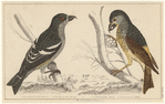 Image ID 820368