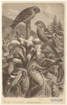 Image ID 820369