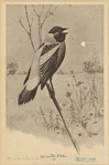 Image ID 820370