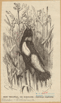 Image ID 820372