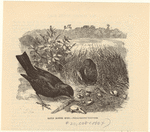 Image ID 820374