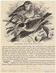 Image ID 820381