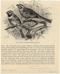 Image ID 820383