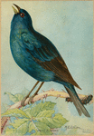 Image ID 820384