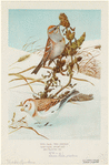 Image ID 820385