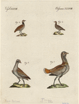 Image ID 820397
