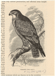 Image ID 820402