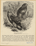 Image ID 820403