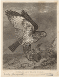 Image ID 820406