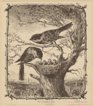 Image ID 820418