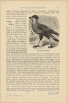 Image ID 820419