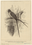 Image ID 820421