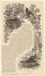 Image ID 820423