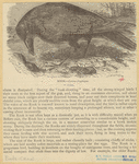 Image ID 820427