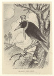 Image ID 820429