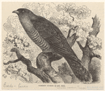 Image ID 820433