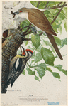 Image ID 820434