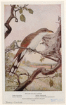 Image ID 820436