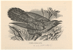 Image ID 820437