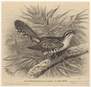 Image ID 820438