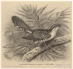 Image ID 820438