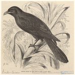 Image ID 820441
