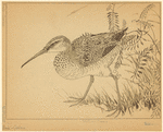 Image ID 820445