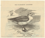 Image ID 820454