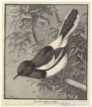 Image ID 820455