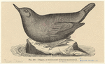 Image ID 820456
