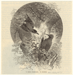 Image ID 820457