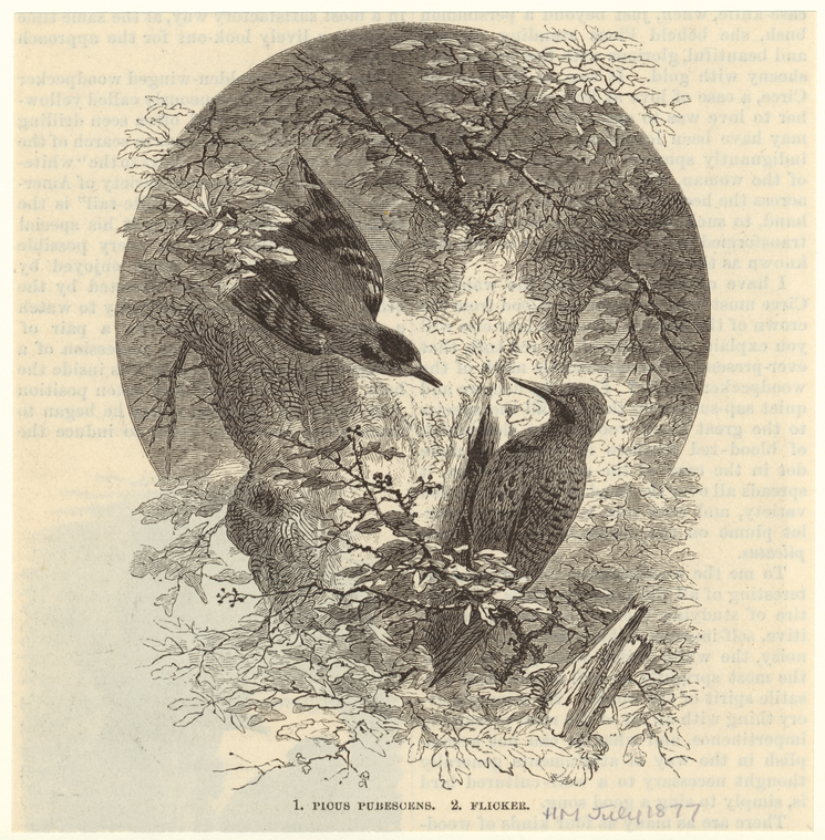 Image ID 820457

