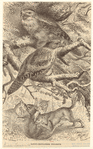 Image ID 820460