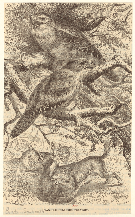 Image ID 820460
