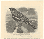 Image ID 820461