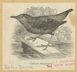 Image ID 820462