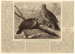 Image ID 820463