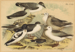 Image ID 820464