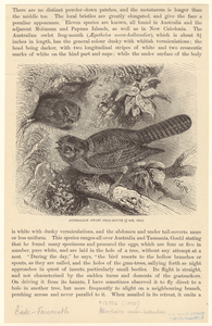 Image ID 820465