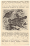 Image ID 820465