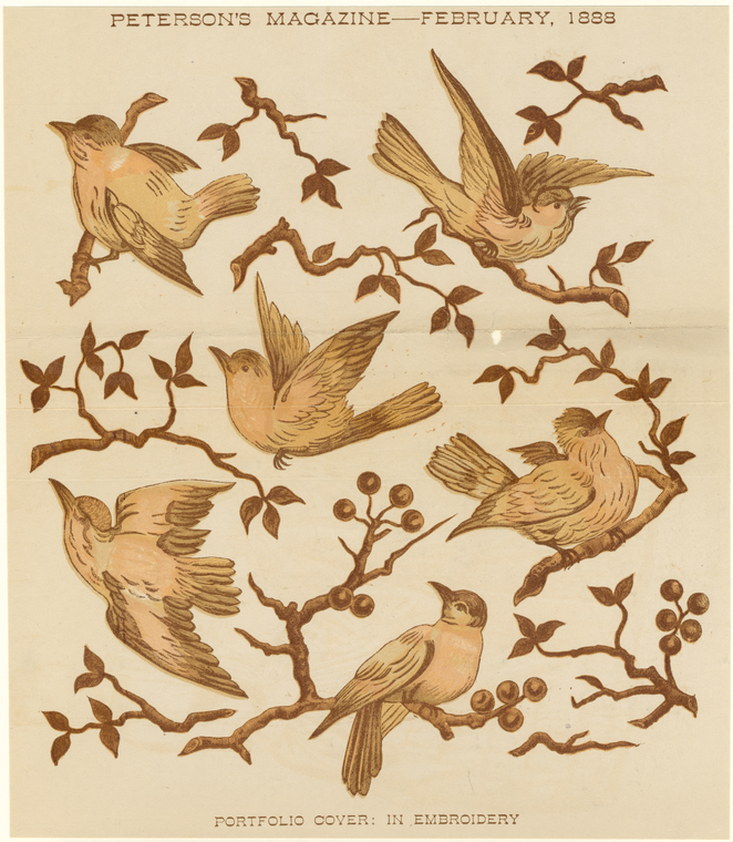 Image ID 820478
