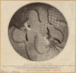Image ID 820483