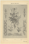 Image ID 820485