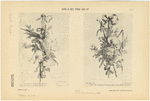 Image ID 820487