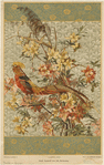 Image ID 820496